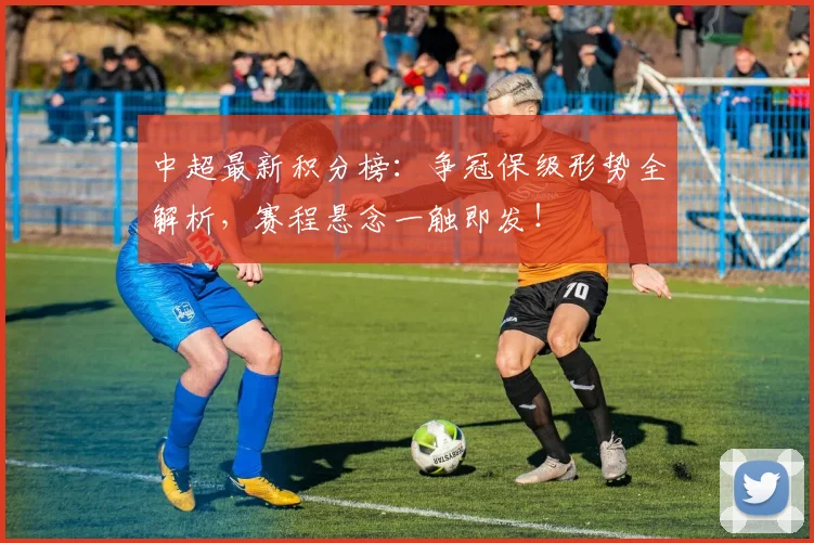中超最新积分榜：争冠保级形势全解析，赛程悬念一触即发！